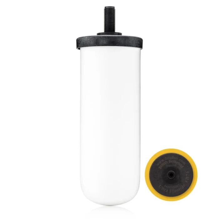 fluoride filter